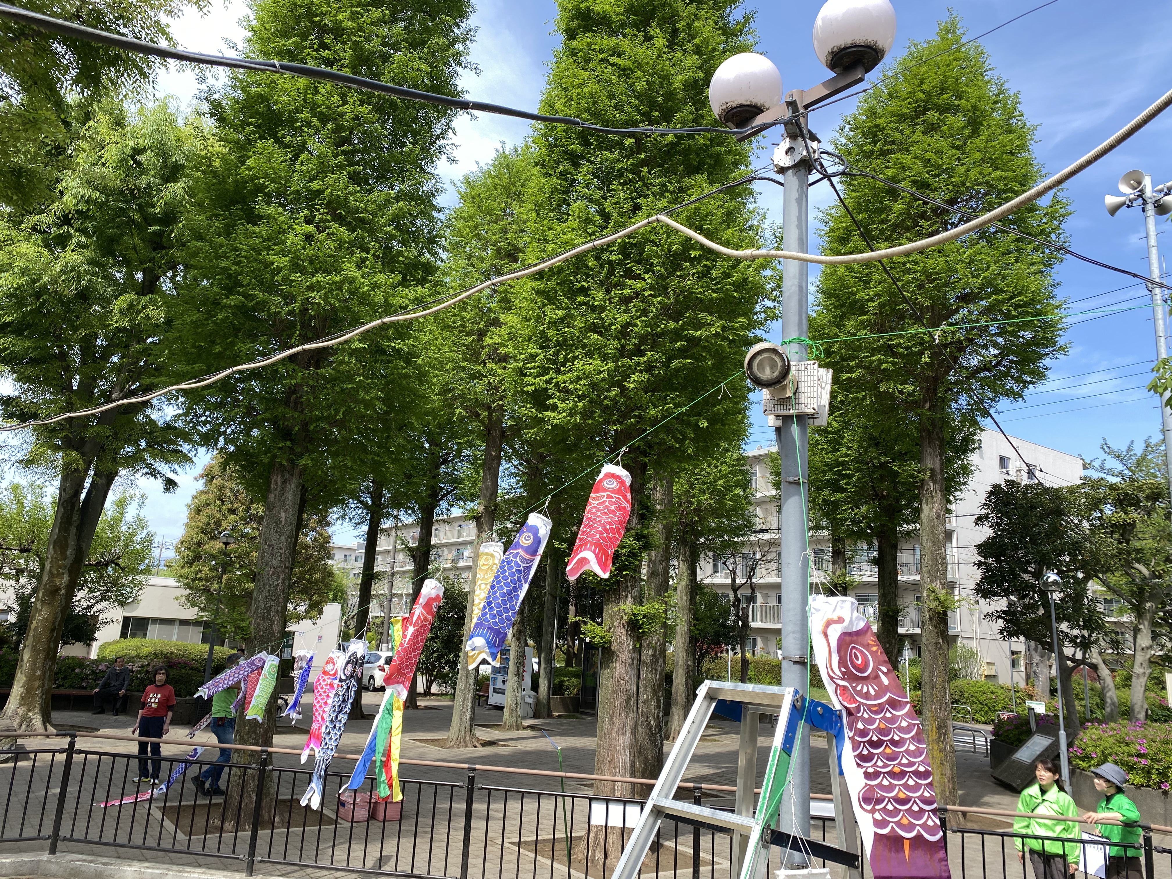 5月の節句に向けて相武台グリーンパークの広場に鯉のぼりを設置しました^_^